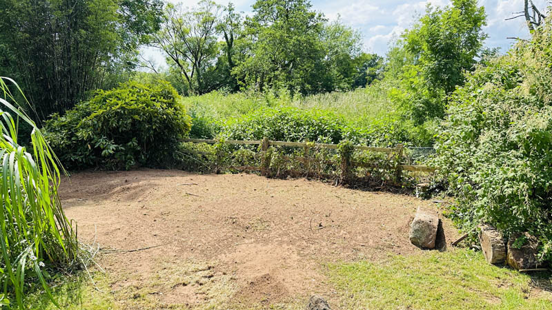 Bamboo Removal Devon Bamboo Removal Devon