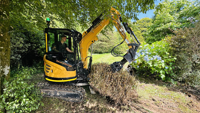 Bamboo Removal Specialists Devon Bamboo Removal Specialists Devon