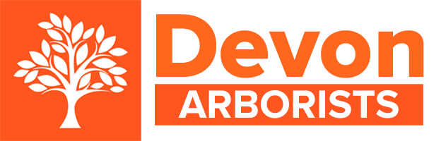 Devon Arborists Devon Arborists