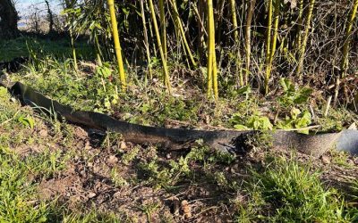 Bamboo Root Barrier Good Or Not