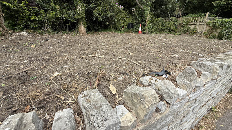 Beware Of Unskilled Bamboo Removal